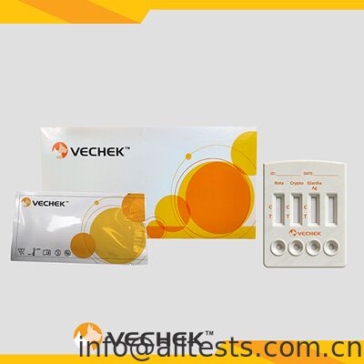 ভালো দাম মল পরীক্ষার জন্য রोटाভাইরাস ক্রিপ্টোস্পোরিডিয়াম জিয়ার্ডিয়া ল্যাম্বলিয়া অ্যান্টিজেন কম্বো র‍্যাপিড টেস্ট ক্যাসেট, ১০ মিনিটের মধ্যে ফলাফল, উচ্চ নির্ভুলতা অনলাইন