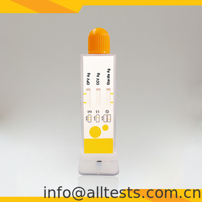 Good price পশুচিকিত্সক ব্যবহারের জন্য মলদ্বারে সিপিভি সিসিভি জিয়ার্ডিয়া ল্যাম্বলিয়া জন্য দ্রুত ডায়াগনস্টিক টেস্ট কিট অনলাইন
